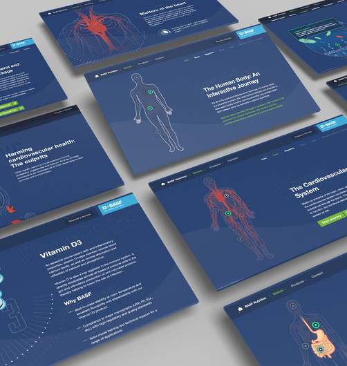 Slides from the interactive website